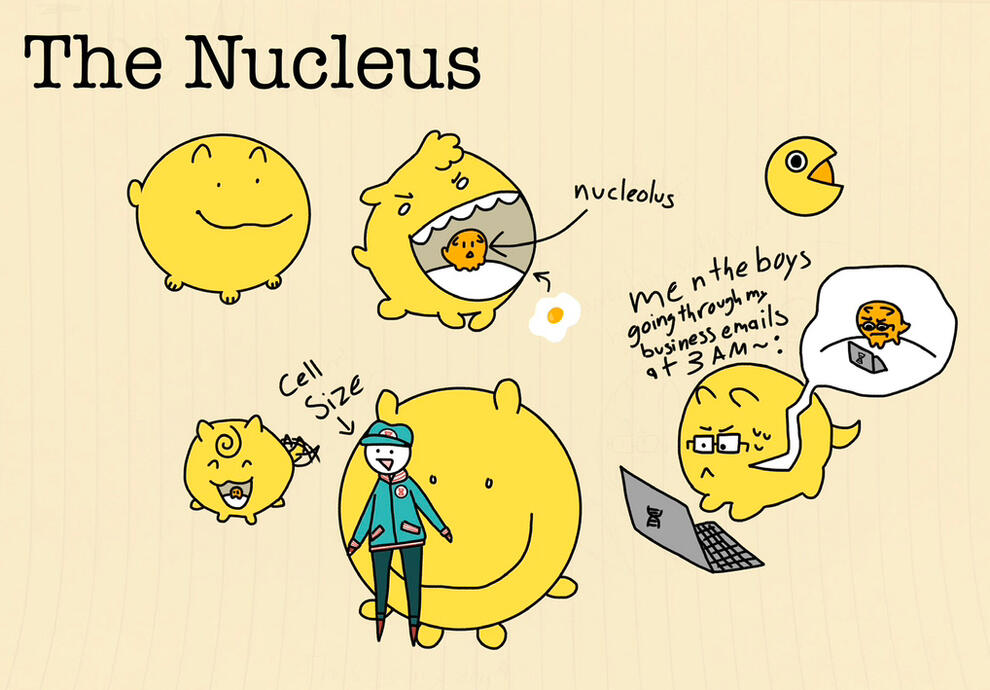 Cell Organelle Fakemon: Nucleus