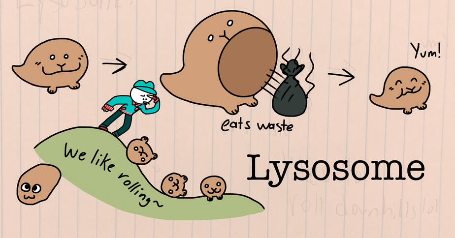 CO Fakemon: Lysosome