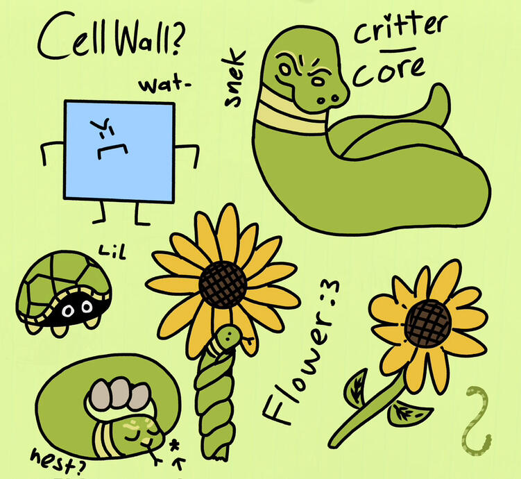 CO Fakemon: Cell Wall